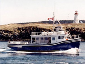 Mega Nova Whale Watching boat tours in Brier Island, Digby Neck, Nova Scotia