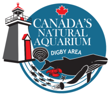 Digby and Area Natural Aquarium