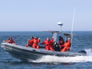 Brier Island Whale Watch | Cetacean Defender