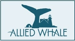 Allied Whale