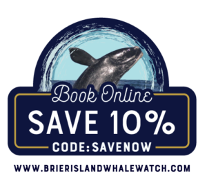 Brier Island Whale Watch Save Now Button